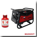 BISON (CHINA) Fabrik Benzin LPG Zwei-In-One LPG Gas Generator Preis